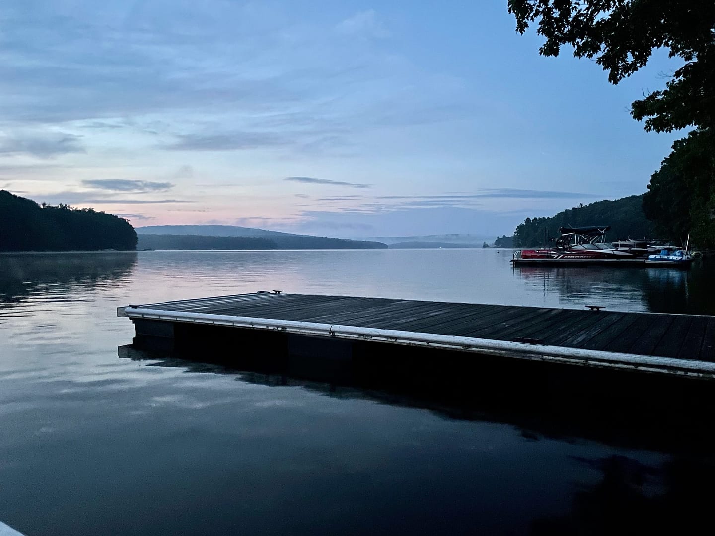 Midsummer Reflection