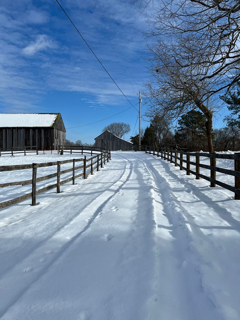 Dedication is walking in 10 inches of snow to ride for 30 minutes